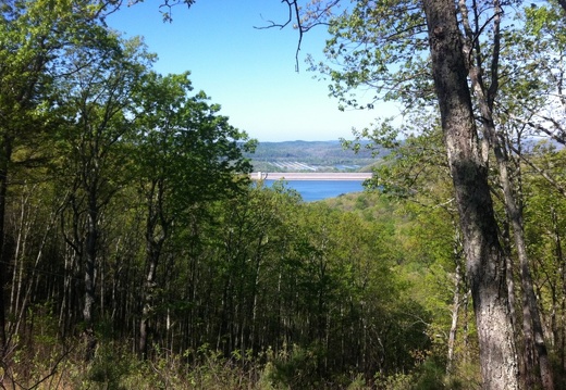 Lakeview Trail